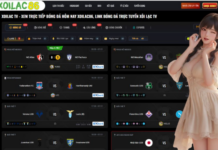 The Digital Revolution of Football Fan Engagement and Real Time Analytics Mastering the Science of Match Analysis